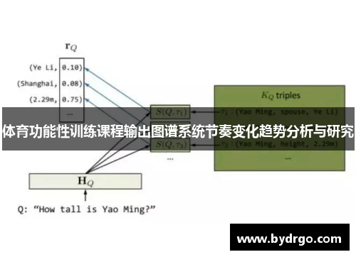 体育功能性训练课程输出图谱系统节奏变化趋势分析与研究